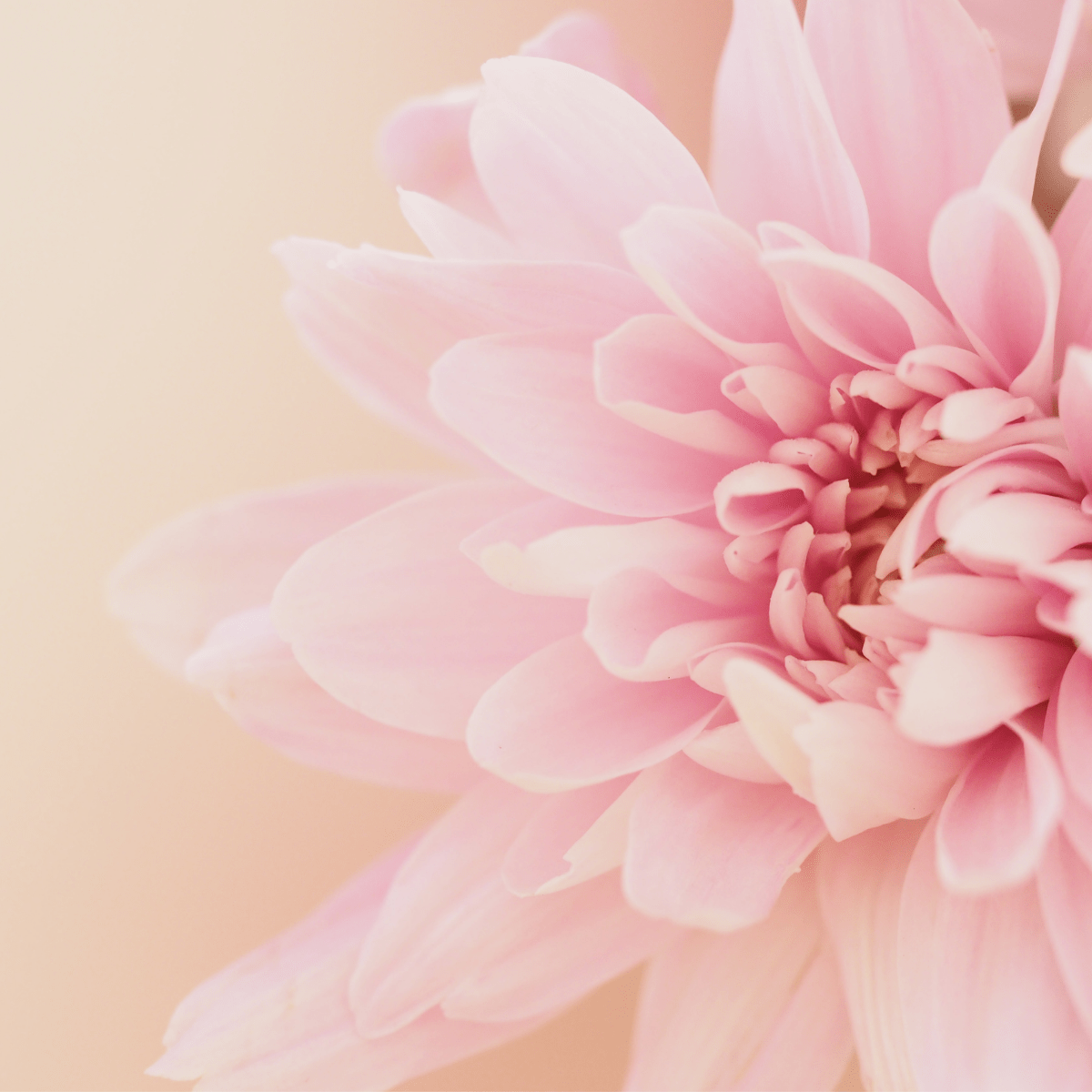 Self-Transformation Day