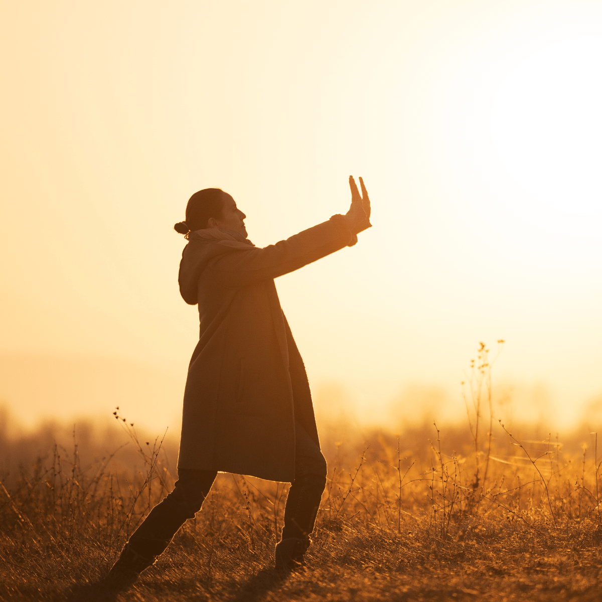 Won Moving Meditation